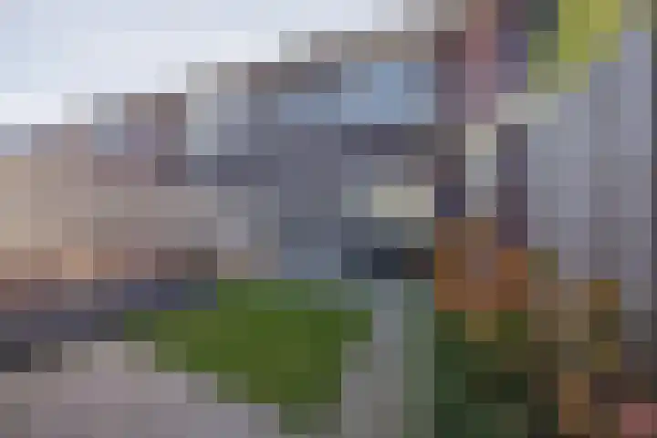 Bakhuuske 41 Hegelsom thumbnail 34