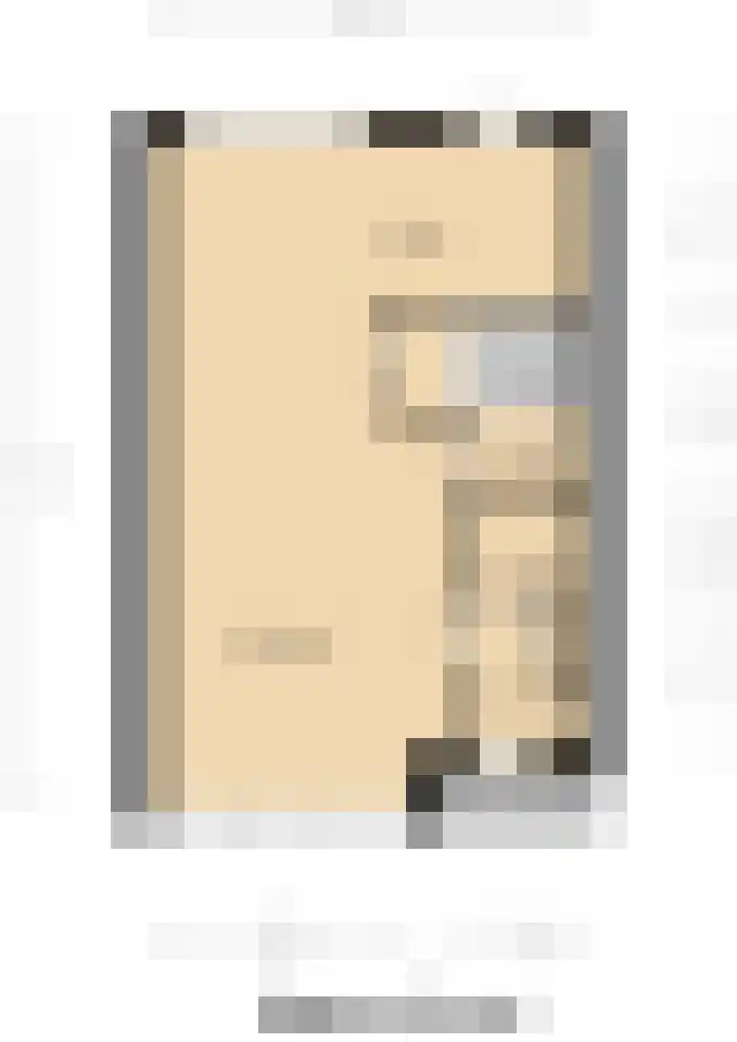 Bakhuuske 41 Hegelsom thumbnail 39
