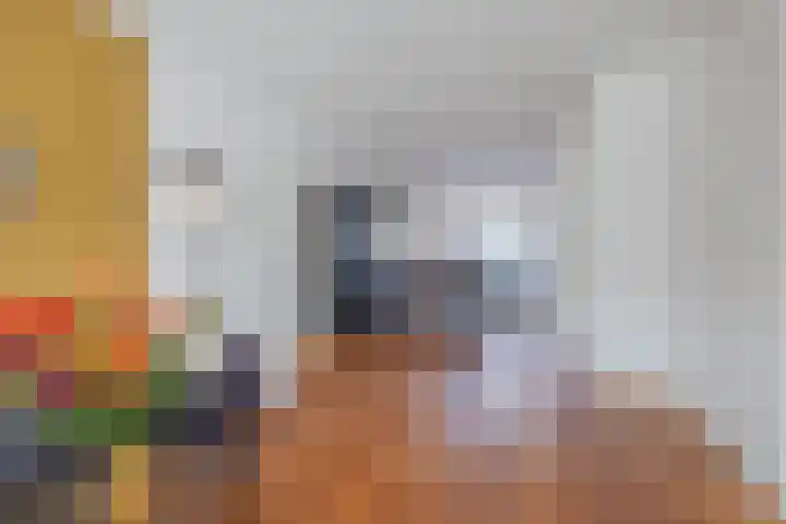 Bakhuuske 41 Hegelsom thumbnail 4