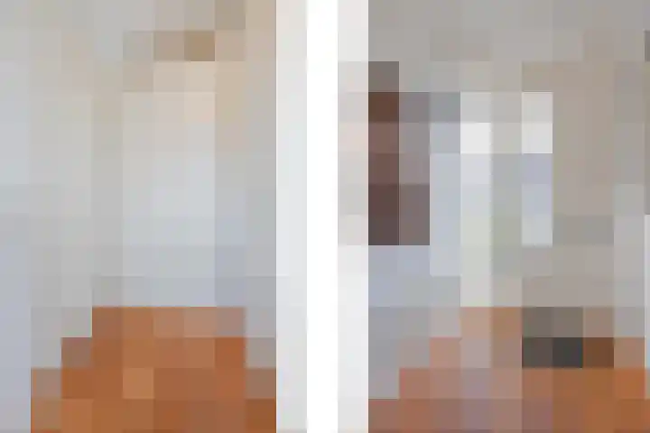 Bakhuuske 41 Hegelsom thumbnail 8
