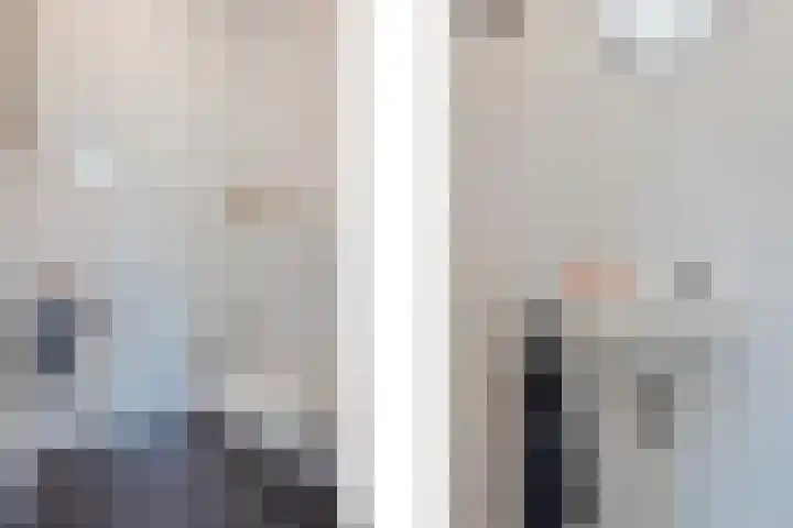 Bakhuuske 41 Hegelsom thumbnail 9