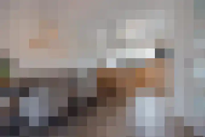 Bakhuuske 49 Hegelsom thumbnail 11