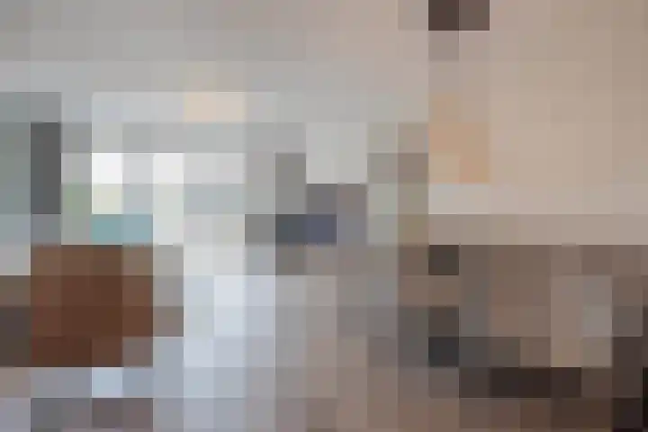 Bakhuuske 49 Hegelsom thumbnail 15