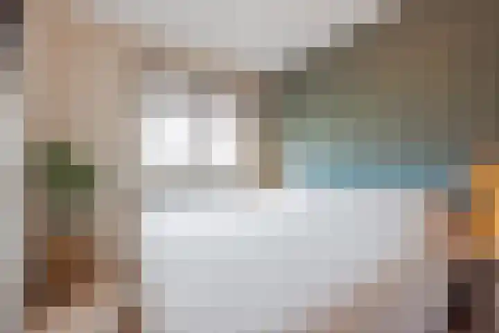 Bakhuuske 49 Hegelsom thumbnail 19
