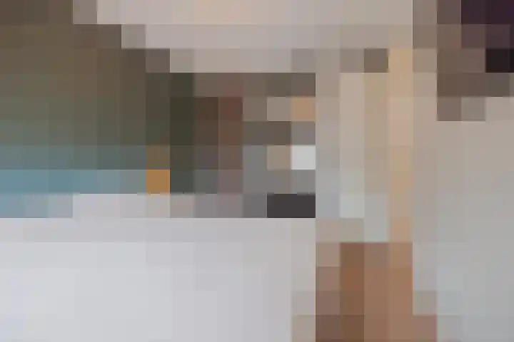 Bakhuuske 49 Hegelsom thumbnail 20