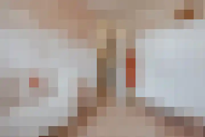 Bakhuuske 49 Hegelsom thumbnail 22