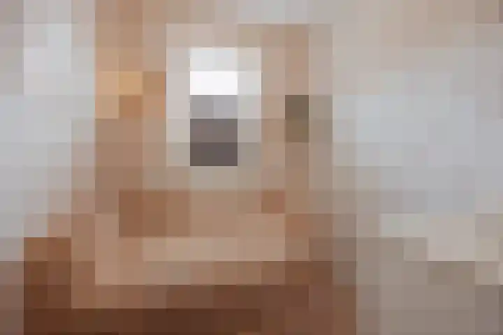 Bakhuuske 49 Hegelsom thumbnail 23