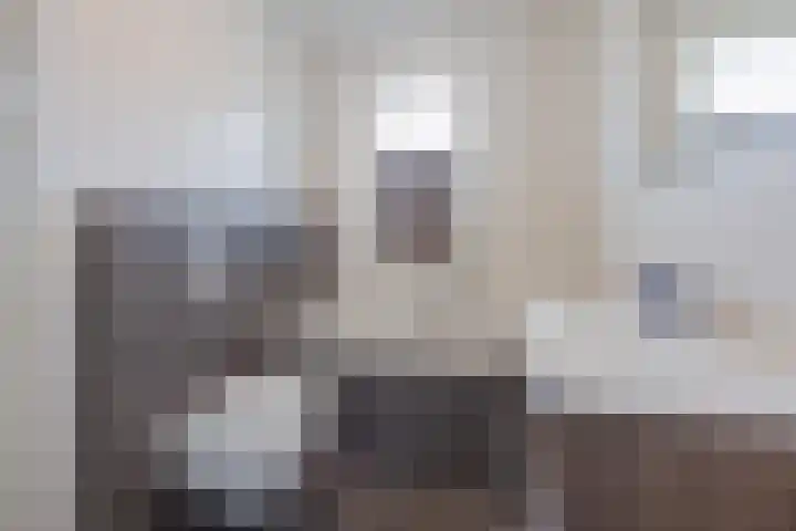 Bakhuuske 49 Hegelsom thumbnail 25