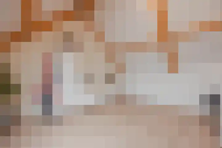 Bakhuuske 49 Hegelsom thumbnail 26