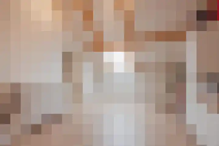 Bakhuuske 49 Hegelsom thumbnail 27