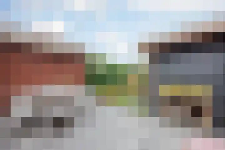 Bakhuuske 49 Hegelsom thumbnail 28