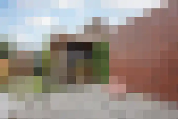 Bakhuuske 49 Hegelsom thumbnail 29