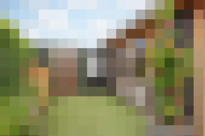Bakhuuske 49 Hegelsom thumbnail 30