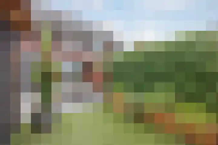 Bakhuuske 49 Hegelsom thumbnail 31