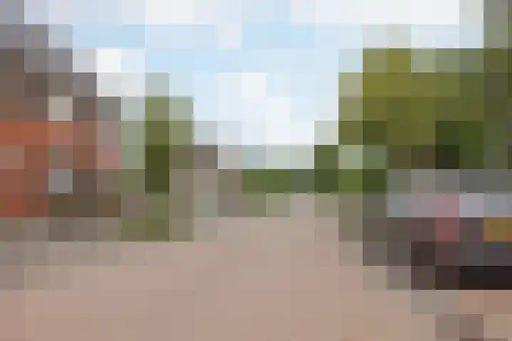 Bakhuuske 49 Hegelsom thumbnail 33