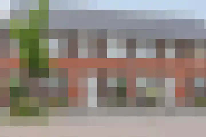 Bakhuuske 49 Hegelsom thumbnail 35