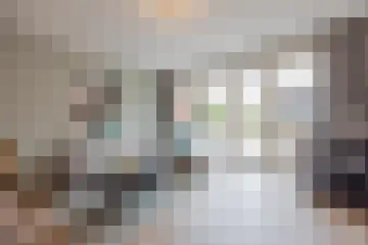 Bakhuuske 49 Hegelsom thumbnail 4