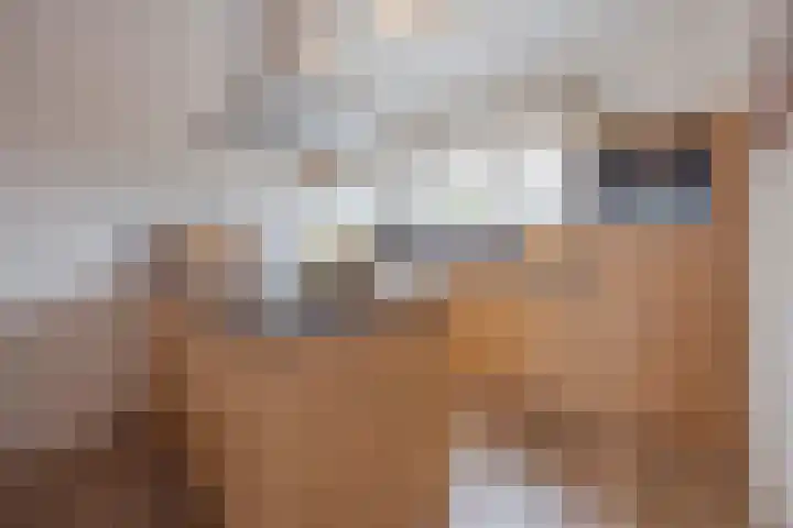Bakhuuske 49 Hegelsom thumbnail 5