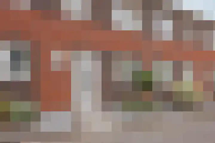 Bakhuuske 49 Hegelsom thumbnail 8