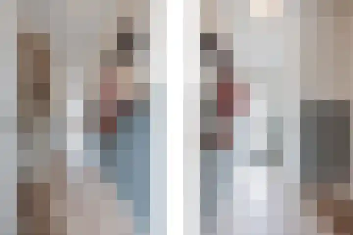 Bakhuuske 49 Hegelsom thumbnail 9