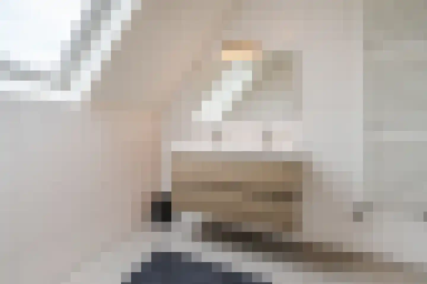 Bakhuys 25 Heeswijk-Dinther thumbnail 25
