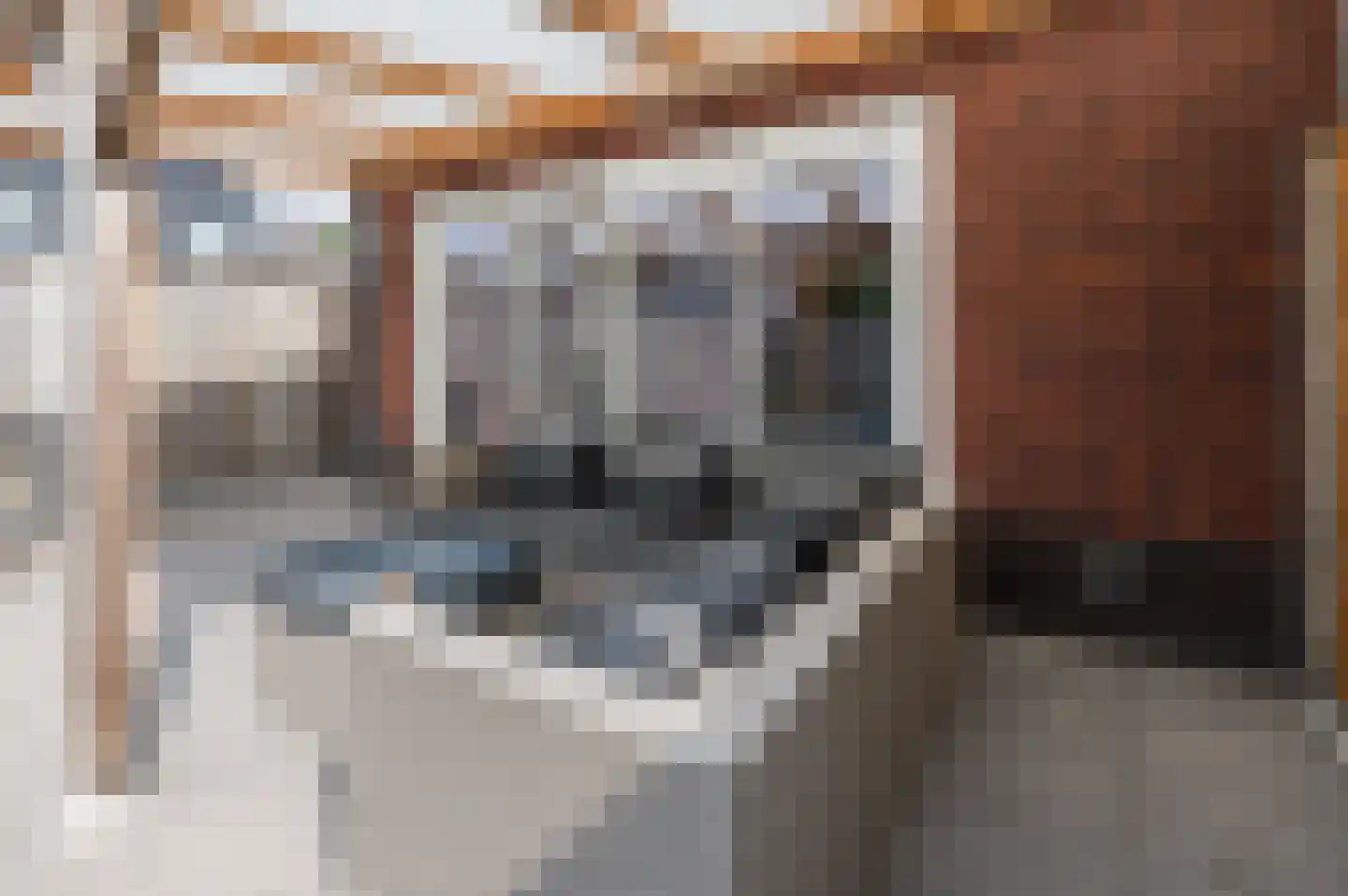 Bakhuys 25 Heeswijk-Dinther thumbnail 33