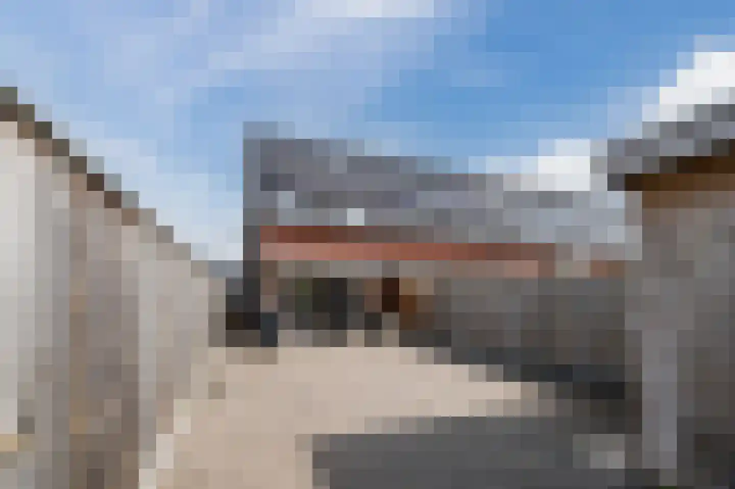 Bakhuys 25 Heeswijk-Dinther thumbnail 37