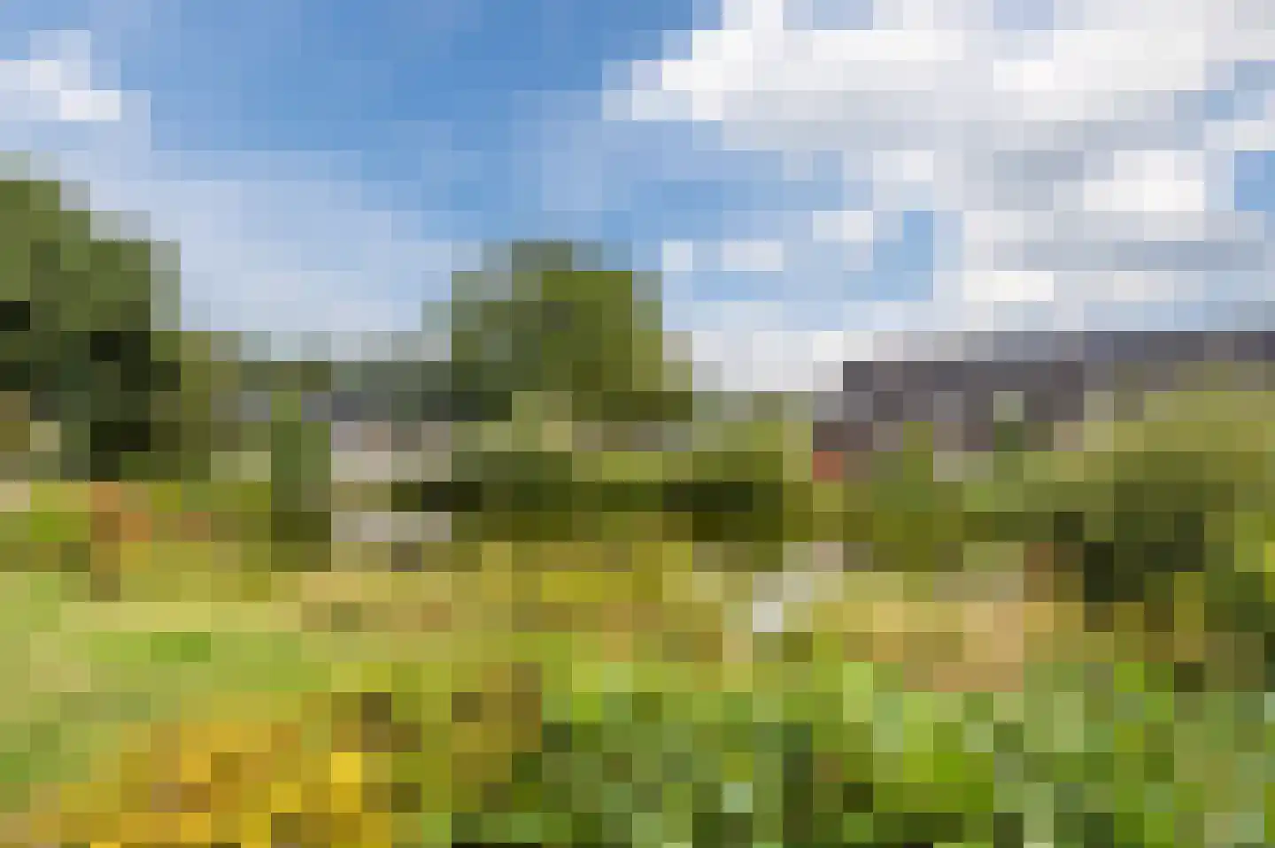 Bakhuys 25 Heeswijk-Dinther thumbnail 43