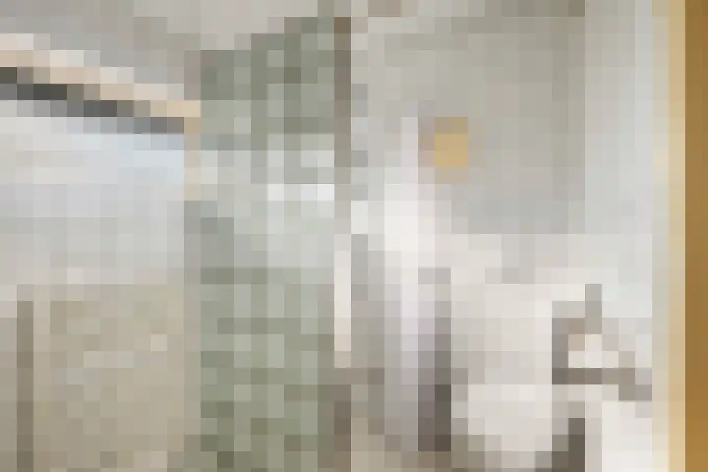 Bakkeneslaan 16 Soesterberg thumbnail 11