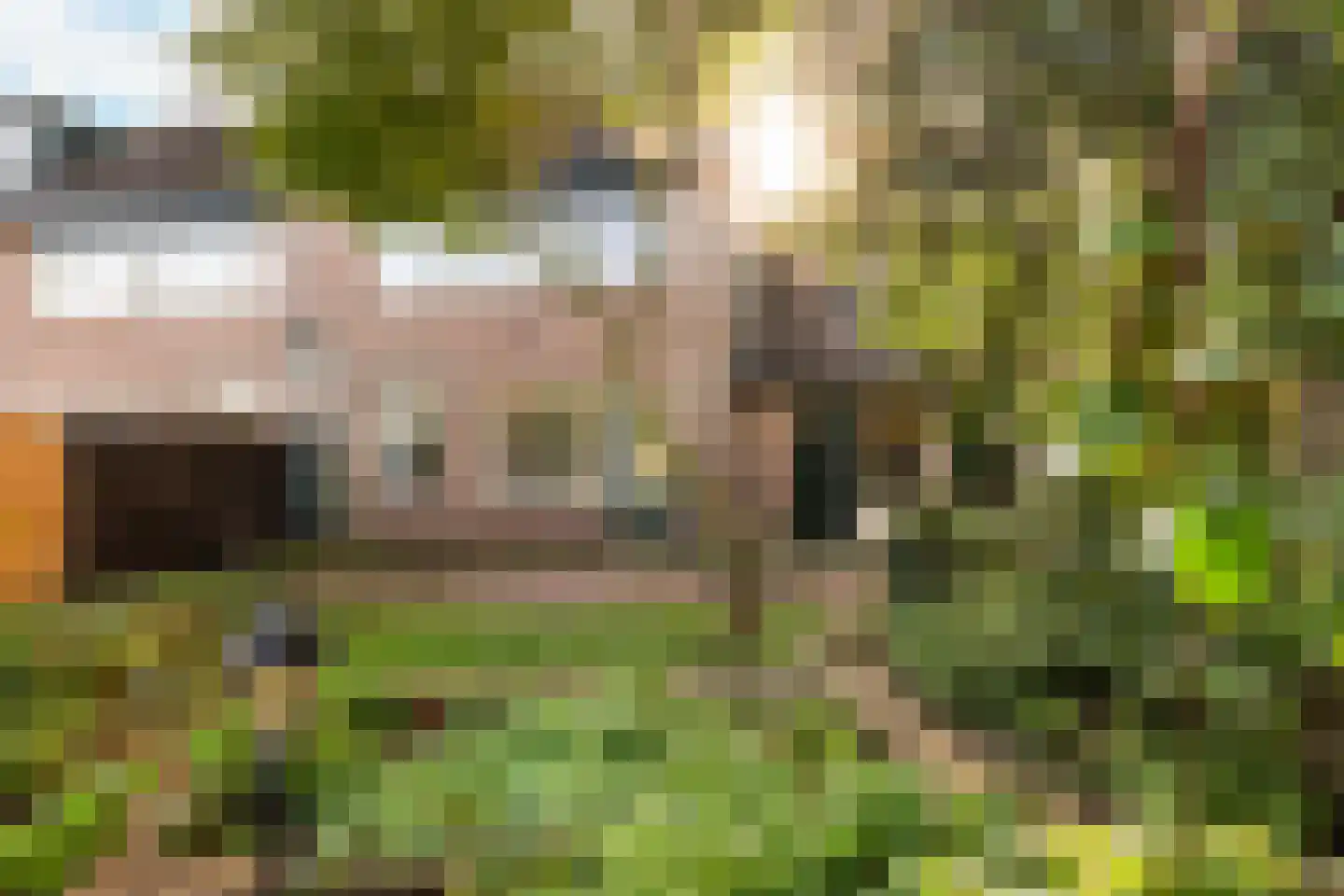 Bakkeneslaan 16 Soesterberg thumbnail 18