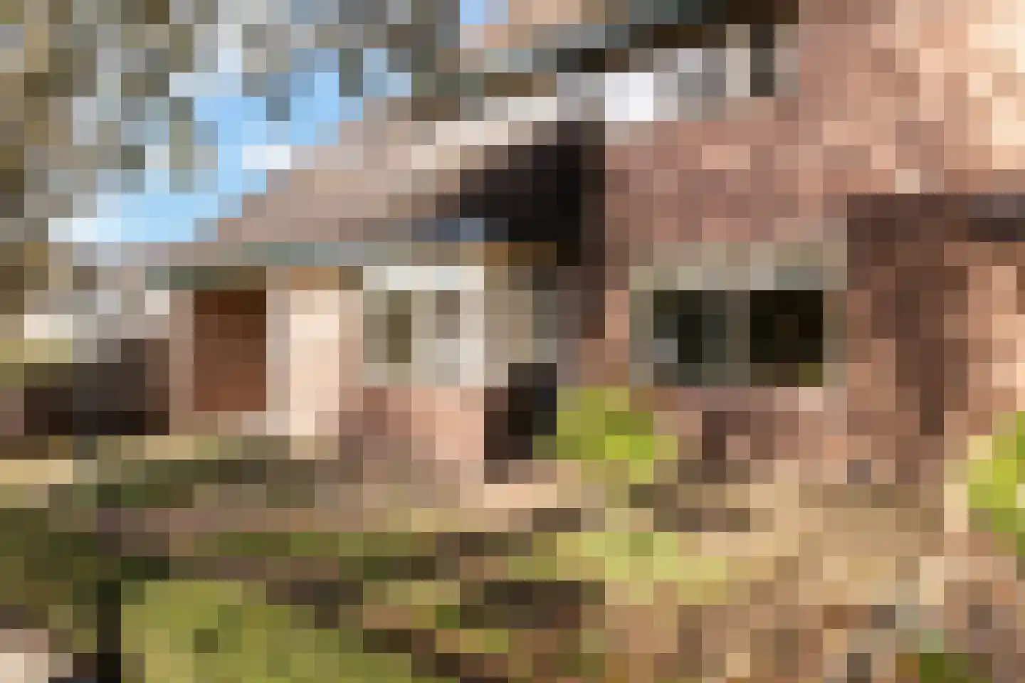 Bakkeneslaan 16 Soesterberg thumbnail 23