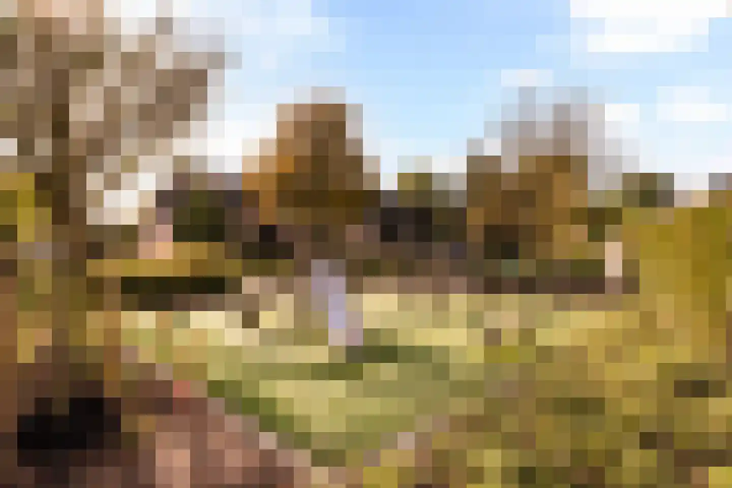 Bakkeneslaan 16 Soesterberg thumbnail 25