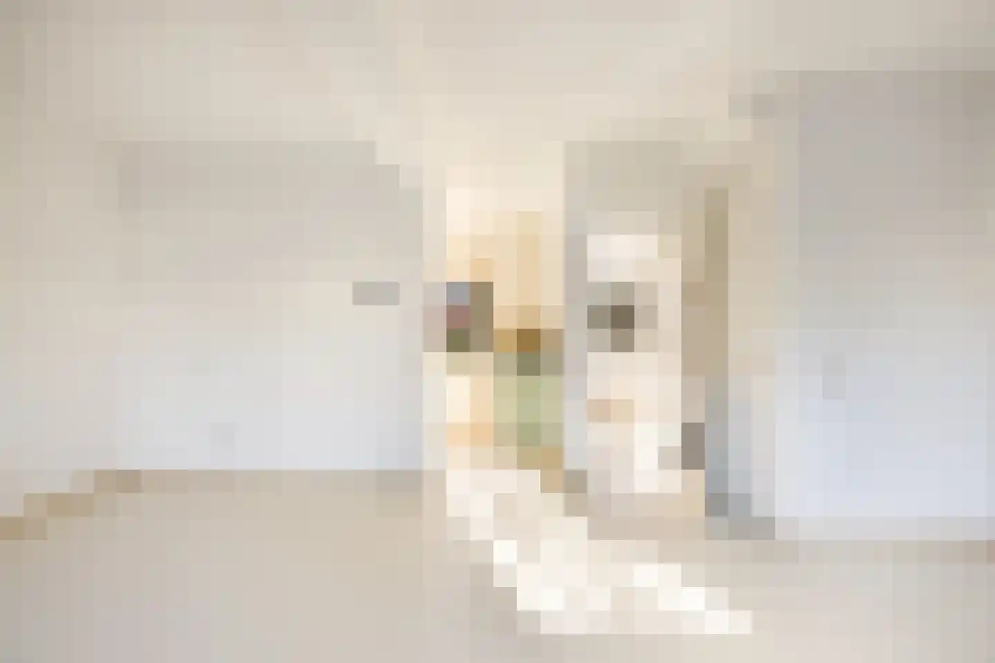 Bakkeneslaan 16 Soesterberg thumbnail 5