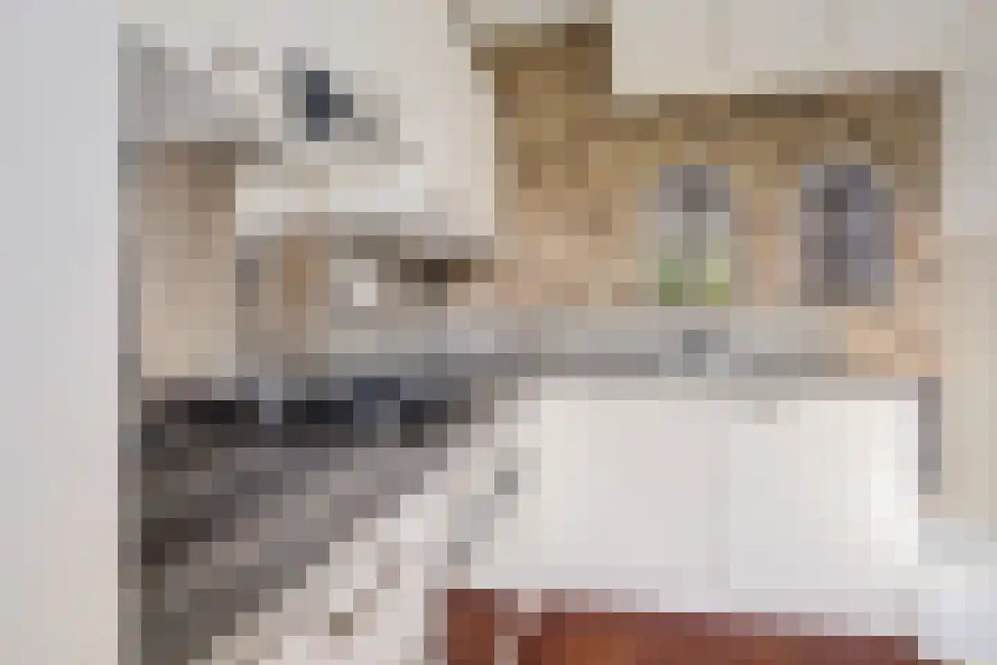 Bakkeneslaan 7 Soesterberg thumbnail 13