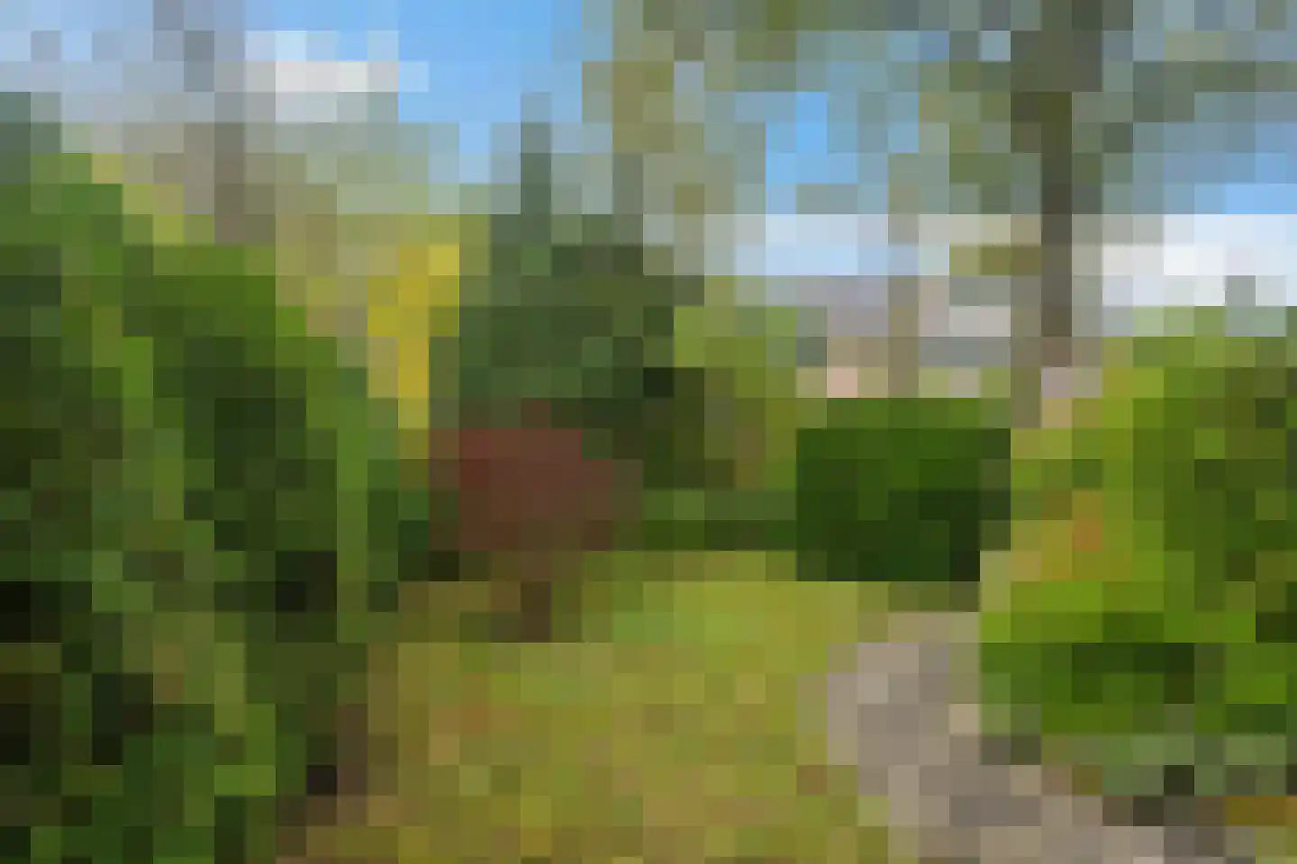 Bakkeneslaan 7 Soesterberg thumbnail 38