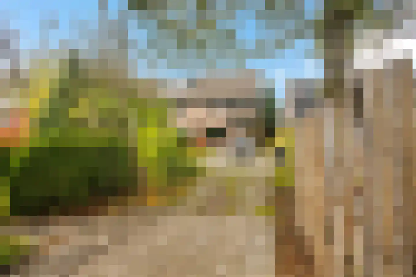 Bakkeneslaan 7 Soesterberg thumbnail 41
