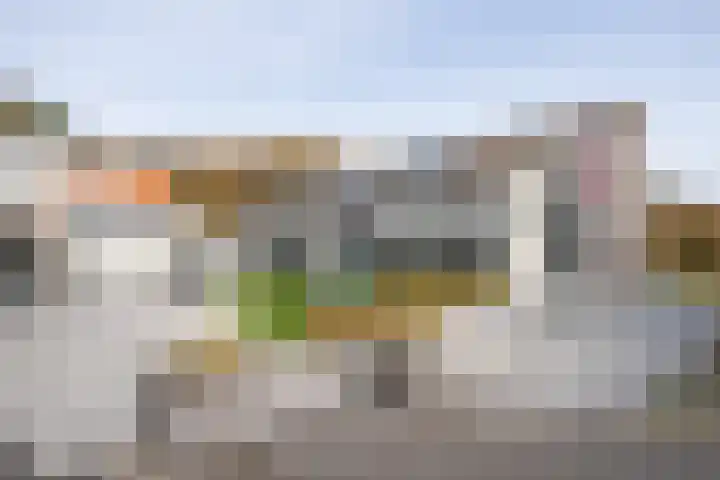 Bakkenweg 76 Den Hoorn thumbnail 4