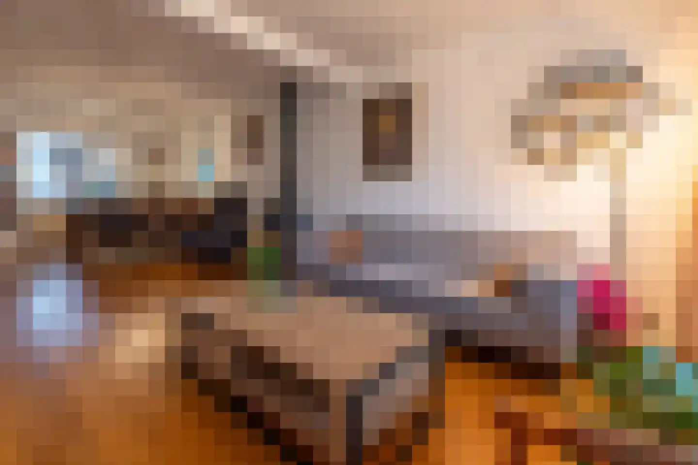 Bakkerboschweg 21 Cadier en Keer thumbnail 5