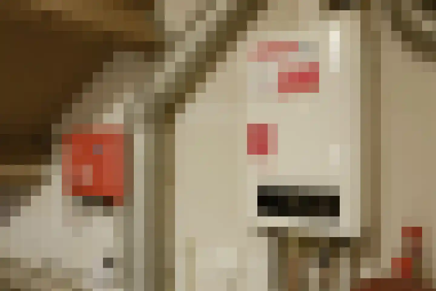 Bakkerboschweg 9 Cadier en Keer thumbnail 38