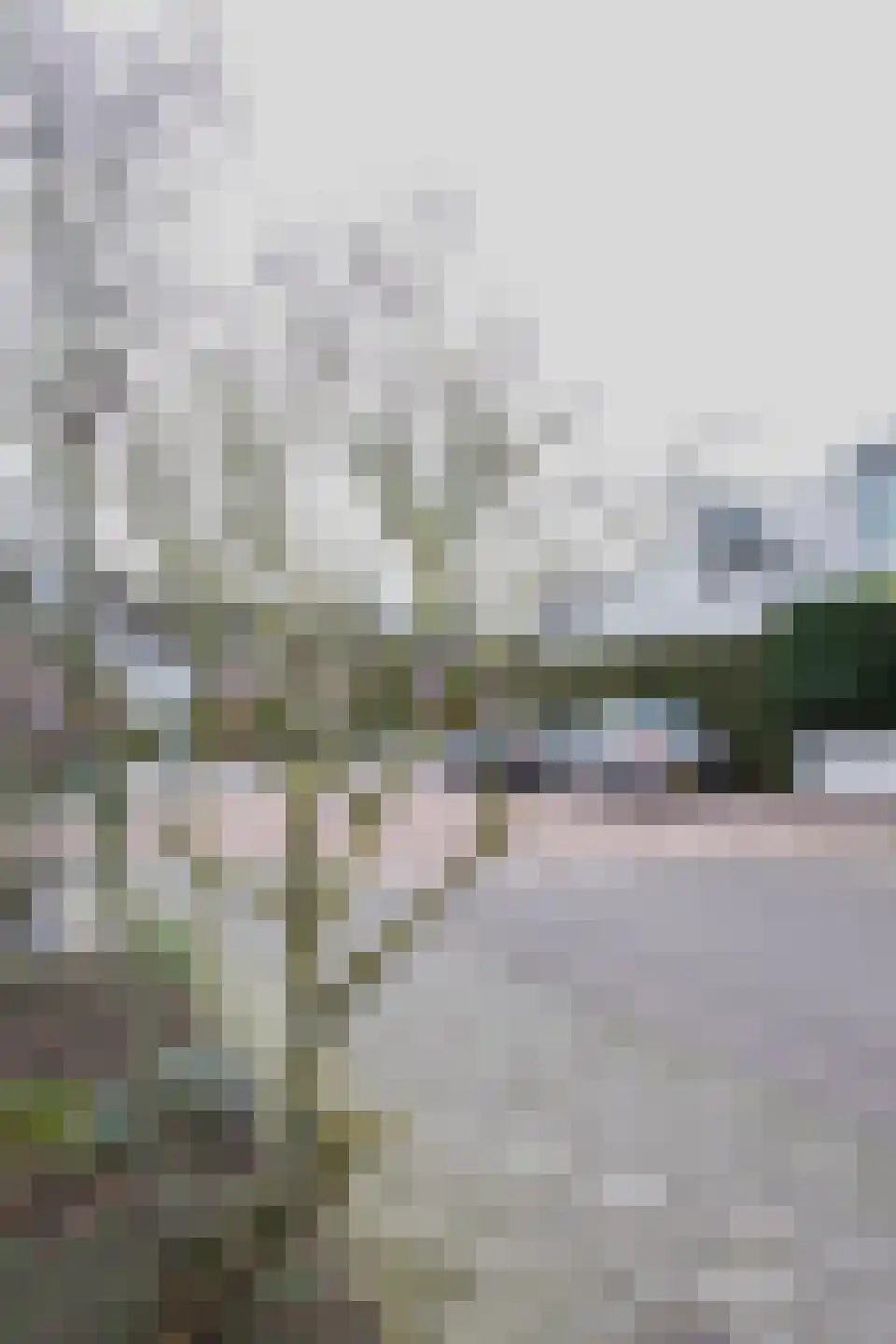 Bakkerboschweg 9 Cadier en Keer thumbnail 46