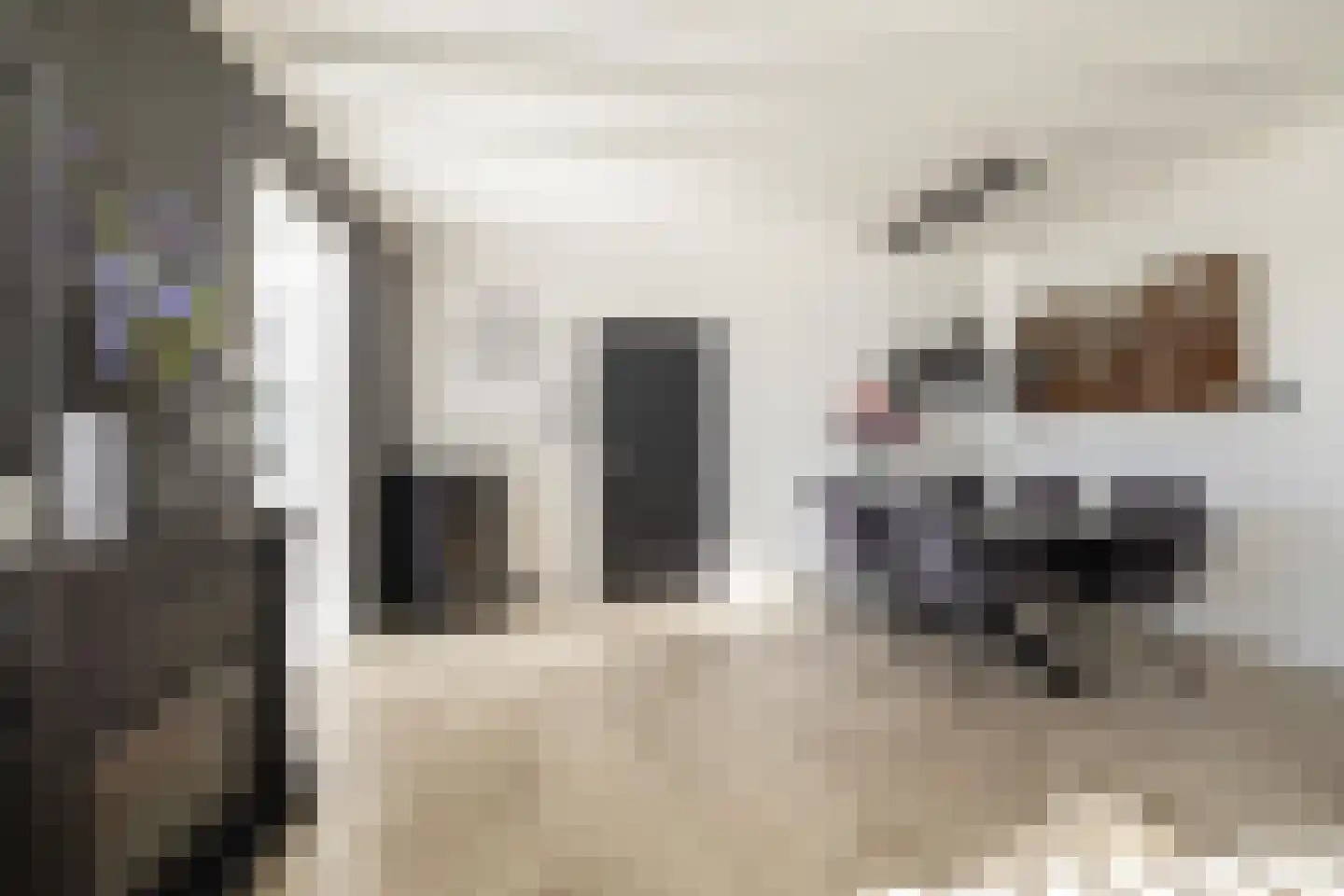 Bakkerom 4 Boerakker thumbnail 13