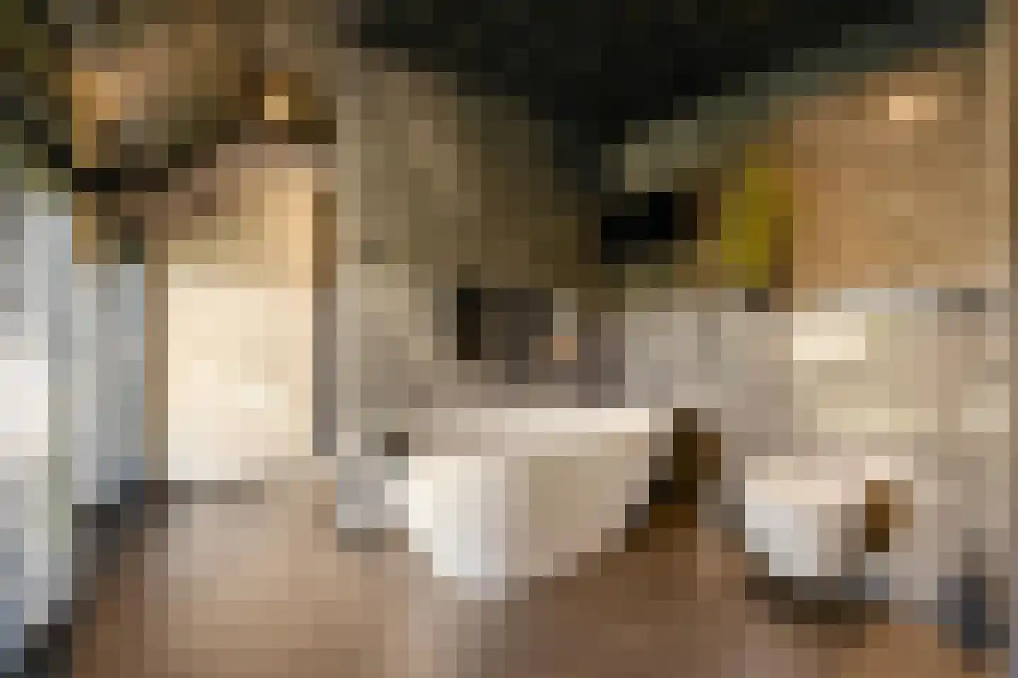 Bakkerom 4 Boerakker thumbnail 17
