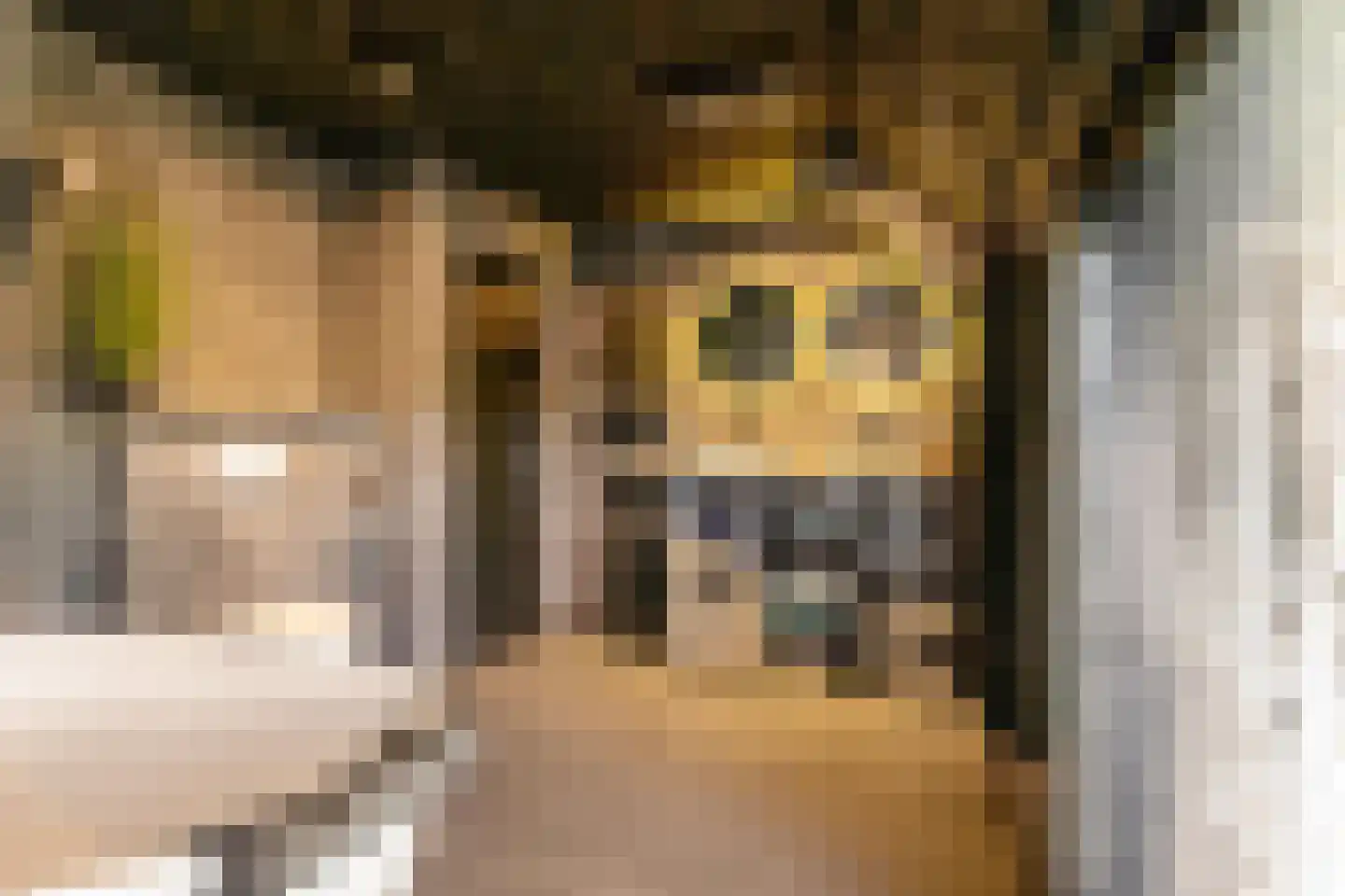 Bakkerom 4 Boerakker thumbnail 18