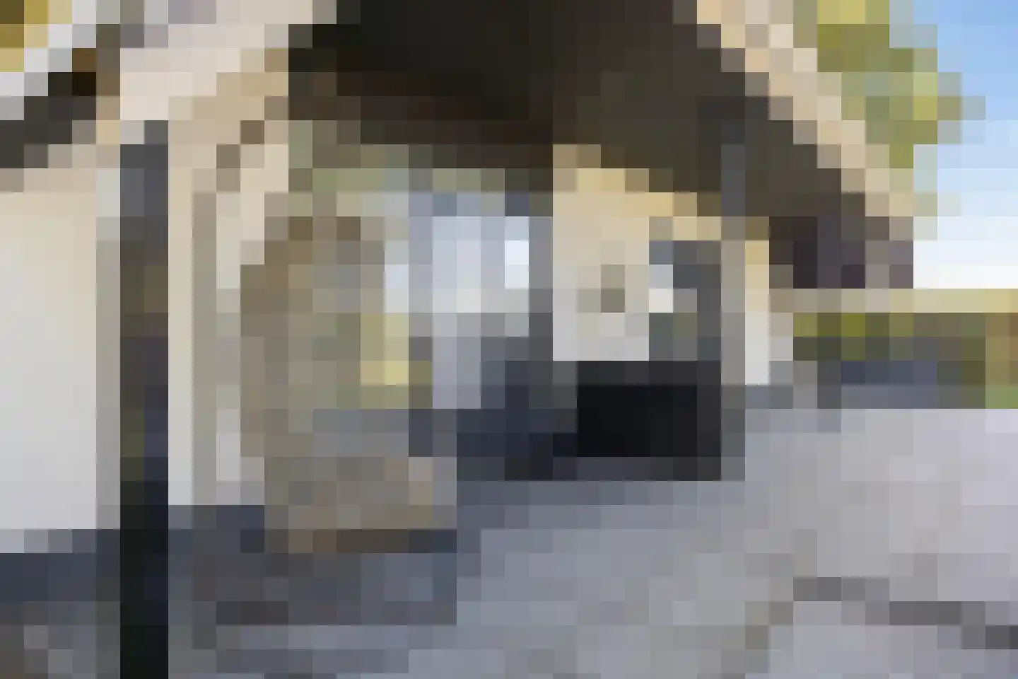 Bakkerom 4 Boerakker thumbnail 34