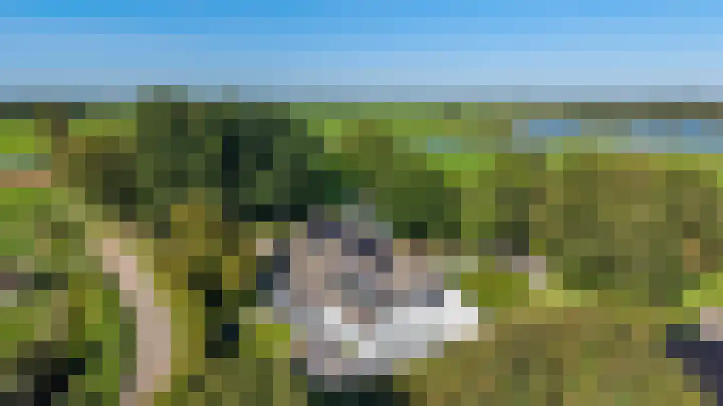 Bakkerom 4 Boerakker thumbnail 4