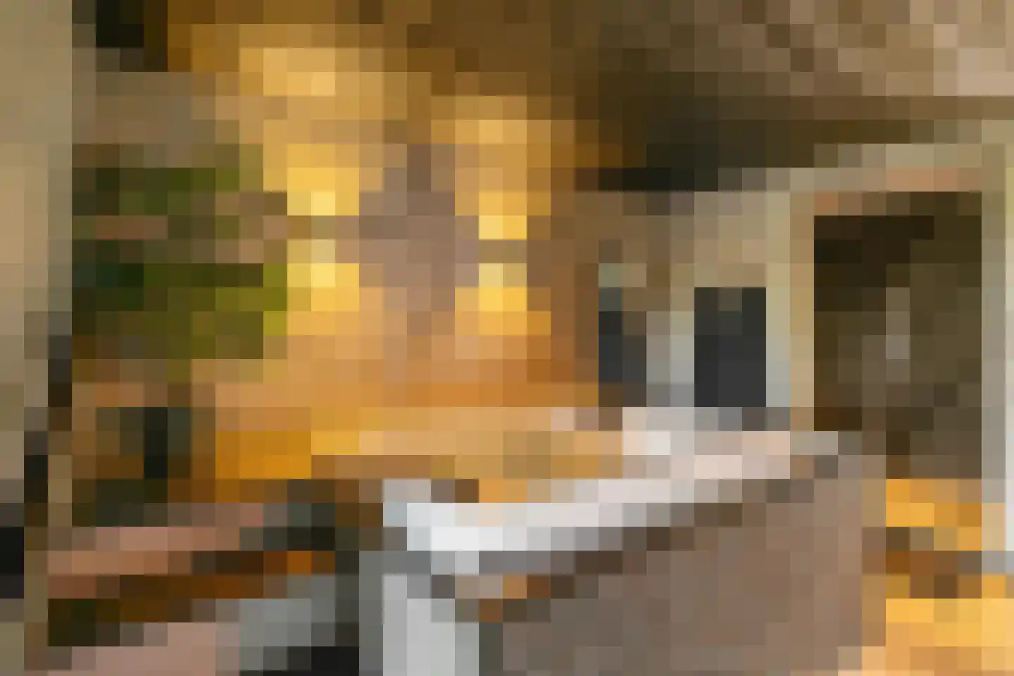 Bakkerom 4 Boerakker thumbnail 54