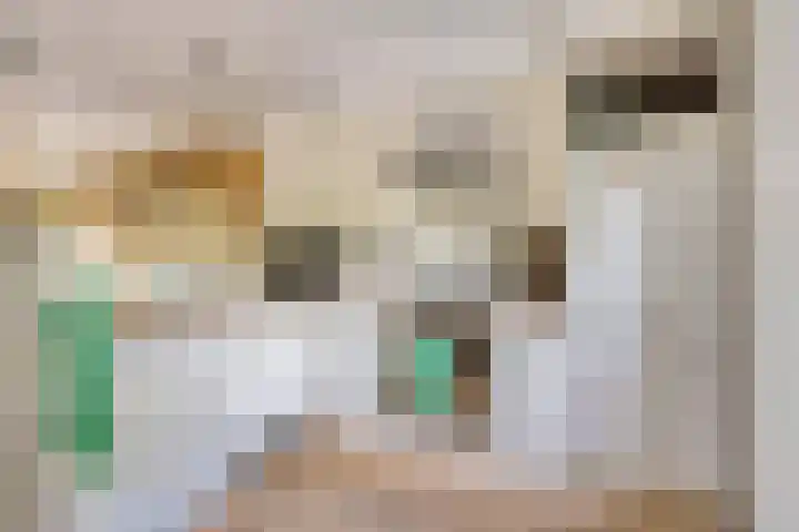 Bakkerom 9 Boerakker thumbnail 10