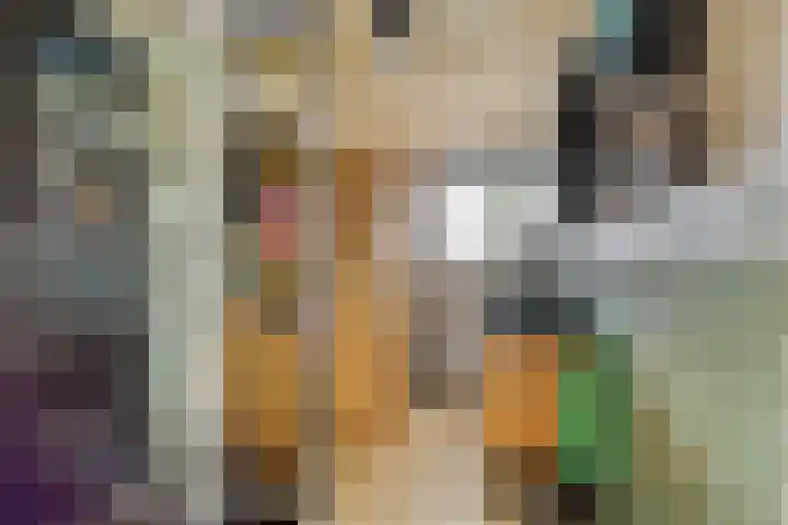 Bakkerom 9 Boerakker thumbnail 16
