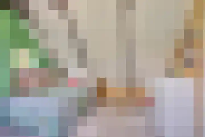 Bakkerom 9 Boerakker thumbnail 20
