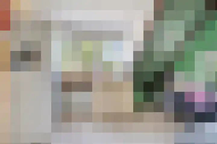 Bakkerom 9 Boerakker thumbnail 21